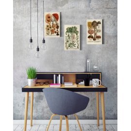 BOTANICAL ILLUSTRATION MDF BI-2001