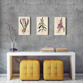 BOTANICAL ILLUSTRATION MDF BI-2003