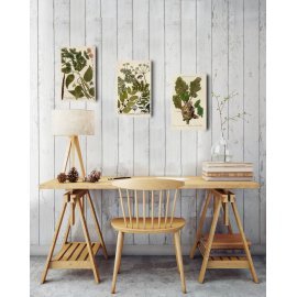 BOTANICAL ILLUSTRATION MDF BI-2007