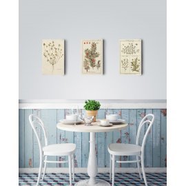 BOTANICAL ILLUSTRATION MDF BI-2009